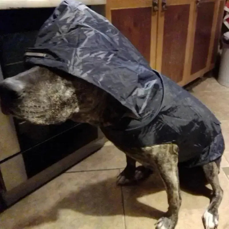 Raincoat Pet Supplies 