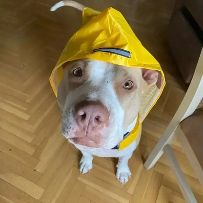 Raincoat Pet Supplies 