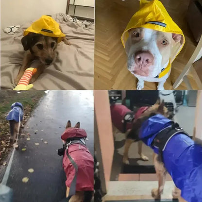 Raincoat Pet Supplies 