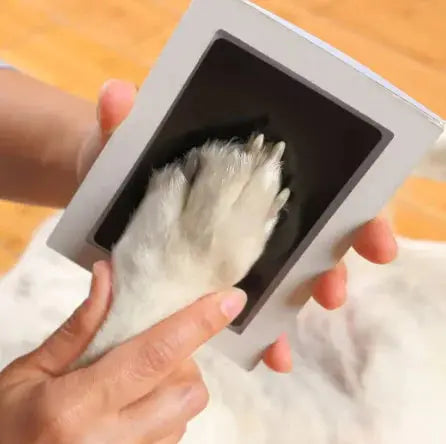 Paw Print Clean Touch Ink Pad 