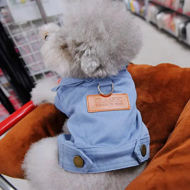 Spring Dog Suit Outfits Denim Coat 