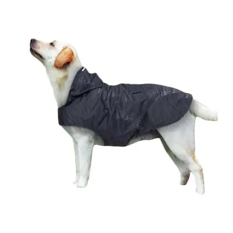 Raincoat Pet Supplies 